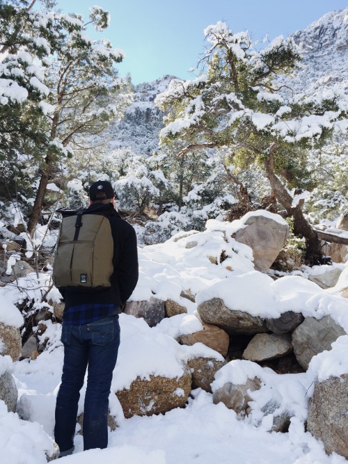January 2016 - Carr Canyon. Coronado National Forest, AZ Request Print   |   Buy