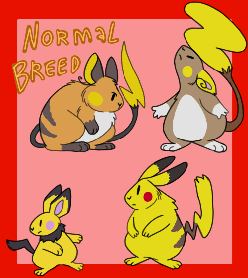 Pikachu Evolution Variants