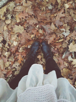 Let's Fall In Love with Autumn!