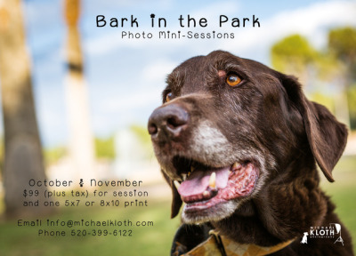 bark-in-the-park-mini-sessions-now-through