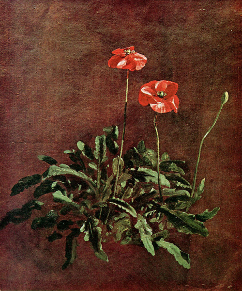 artist-constable: Study for poppies, John Constable