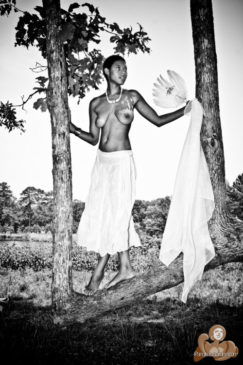pangeasgarden:     Momentary strolls that were reflective, imaginative, provocative and creative led to some revealing moments in which beauty both inside and out was exposed. And with this exposure… through this unveiling… there is a serenity.  
