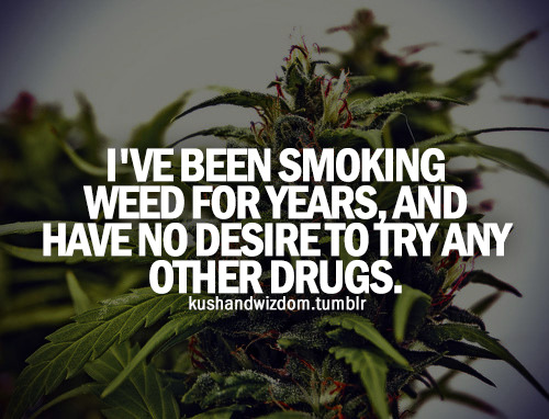 kushandwizdom:  Good Vibes HERE  Yup