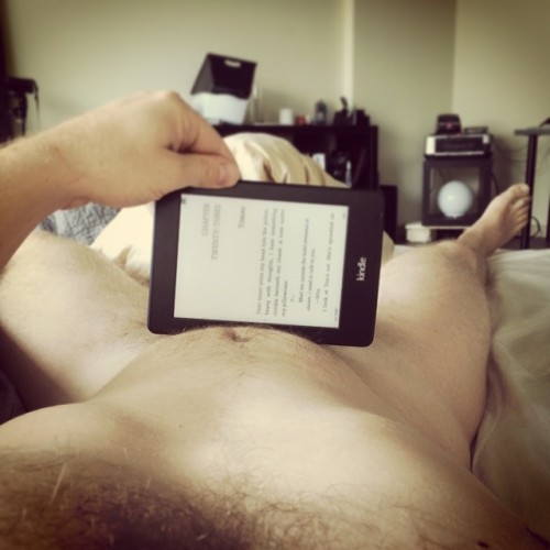 BearWindow