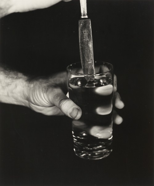 disease:“KNIFE IN WATER (LEFT)”WILLIAM WEGMAN // 1972[gelatin silver print | 31.5 ×