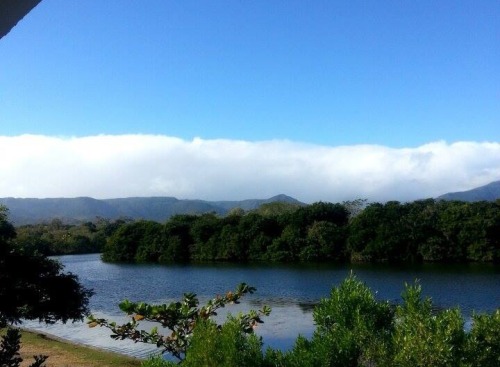 wandering-sunflowers:  River Noire, Mauritius.