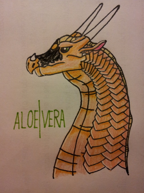 A New OC. Her Name Is Vera, She Was Previously Known As Aloe. Aloe Was Part Of Burns Army In The SandWing