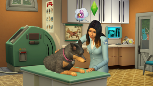 lilsimsie: The Sims™ 4 Cats &amp; DogsLife is Better with Cats &amp; Dogs Create a va