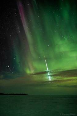 e4rthy:  Meteor Magic by Shannon Bileski A fireball flashes amid the aurora lights in the skies over the Canadian province of Manitoba. 