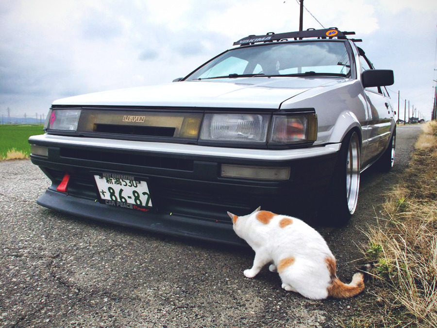 86Club