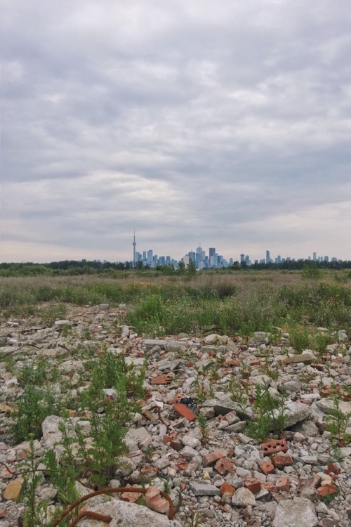 Toronto from the End of the WorldAlong the monotonous straight concrete road, past the sailboats and