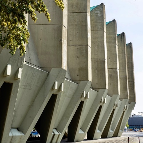 germanpostwarmodern:The Concrete Supports of the Roof covering the Council Chamber of the Town Hall 