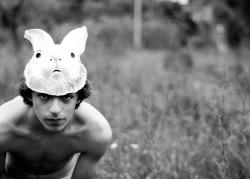 sean-clancy:  The White Rabbit by Alessandro