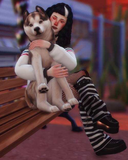 “My little best friend“ pose pack~ 3 poses with large dogyou need:~ pose player and teleporter~ Park