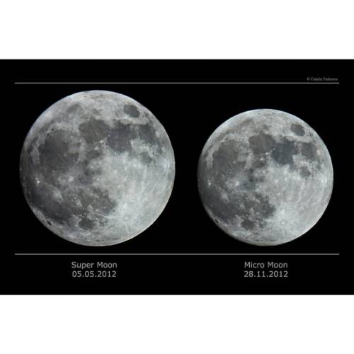 Porn Super Moon vs. Micro Moon #nasa #apod #moon photos