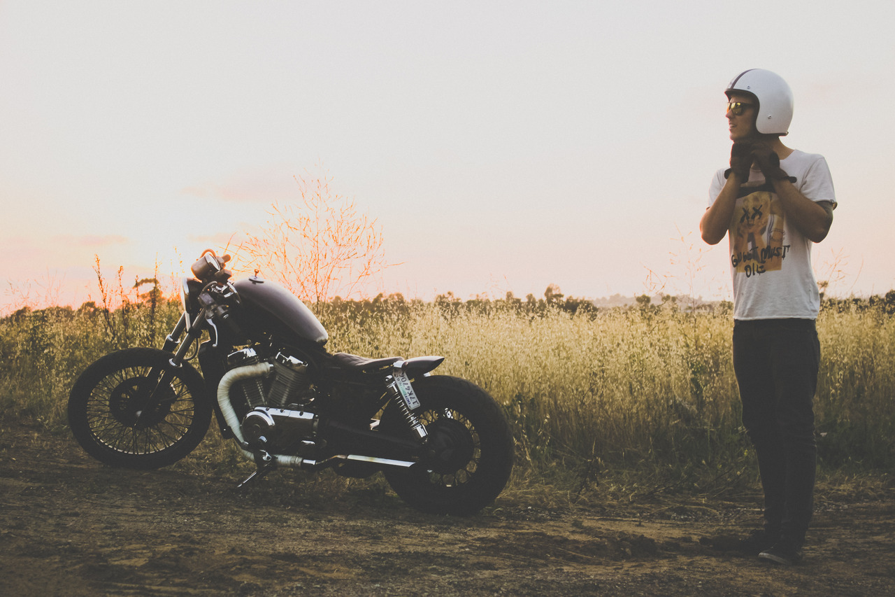 theroadyeah:  –socialq
