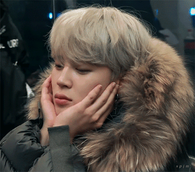 jiminiboop