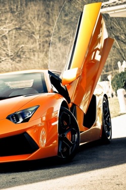 eye-gvsm:  Lamgorghini aventador. 