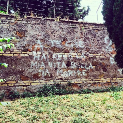 jovanottithemepark:  Vandali romantici 