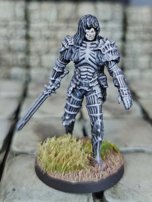 Dark Souls Board Game Darkwraith. Definitely One Of The Rougher Sculpts, The Fact That The Set Is Mostly