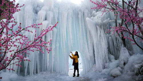 Frozen waterfalls and budding trees look like a fantasy landscape, a door into another Wonderland. (