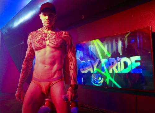 WEST HOLLYWOOD NIGHTS