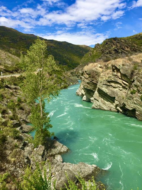 oneshotolive: The “Roaring Meg” - The Kawarwu River, NZ. (2448x3264)(OC) : Lemgirl