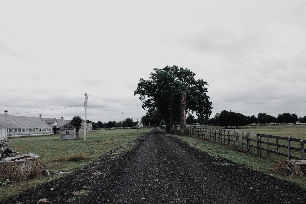 kellyelainesmith:  A day of exploring is a day well-spent. nj, september 2015. kelly
