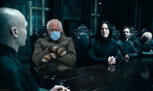 hogwartscastle: Bernie Sanders meme in Harry Potter ✨