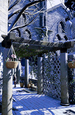 gamerism:ALTALTALTALTALTALTALTALTDRAGON AGE INQUISITION: EMPRISE DU LION - SULEDIN