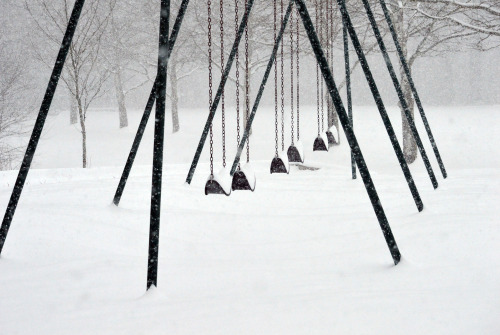 lensblr-network:First snow day… Brandywine Park in Wilmington DE…by susanlovejoy.tumblr.com