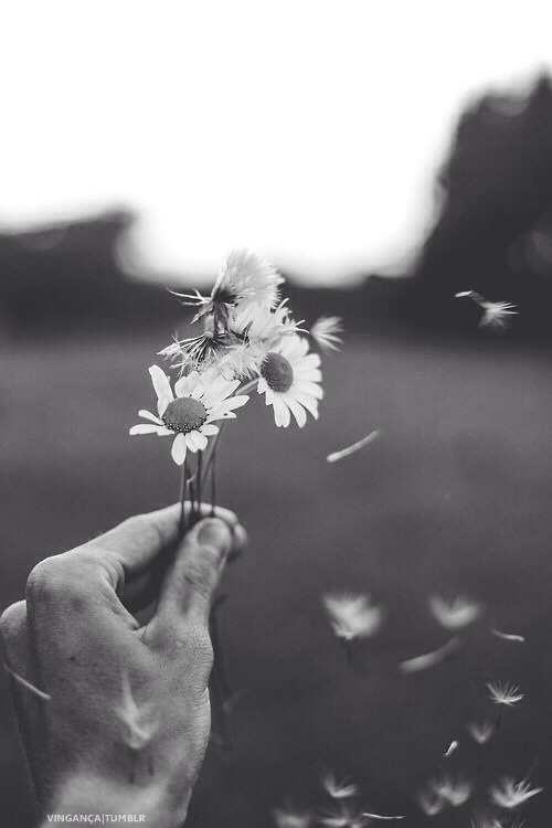 v-i-n-g-a-n-c-a:  Instagram: rememoriar 