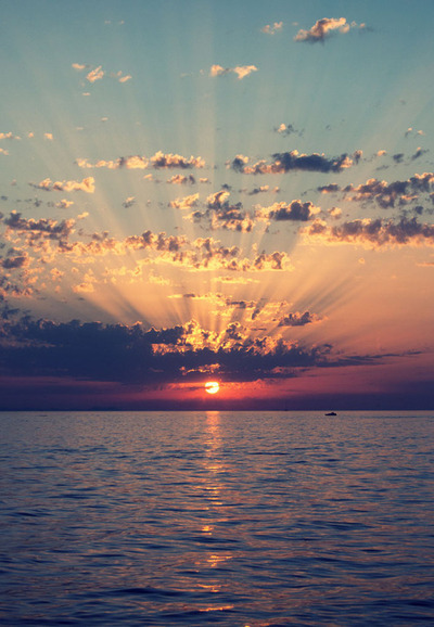 silly-luv:  ♡ find your best posts on my blog ♡