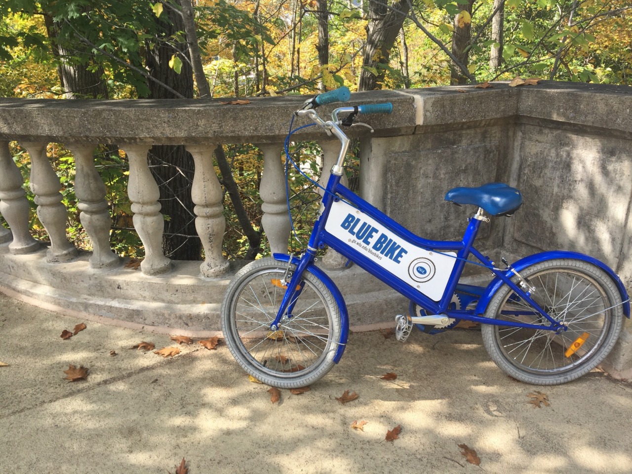 all blue bike