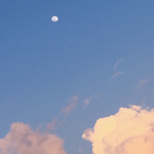 aphrite:Took 200 pics of the sky today because wow