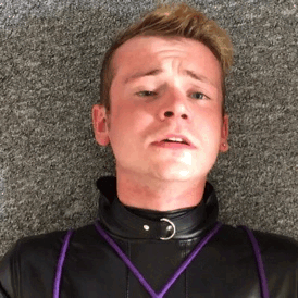 gaggedchav:  So half of October’s update for my GoogleDrive is now live, 3 new videos so far, with a last little teaser gif of things to come 😈💜Individual prices shown, DM for details 