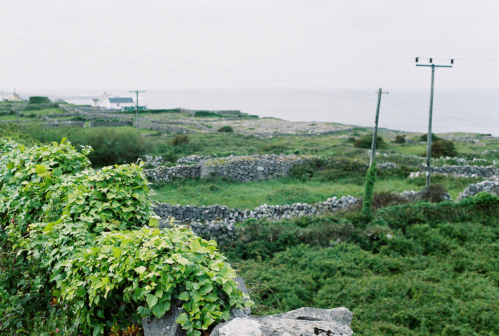 jacindaelena:   parker severns || Ireland