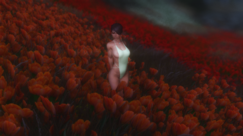 Conversion Release: Beachwear Collection 2017!What is it? A collection of some Summer-related Daz ou