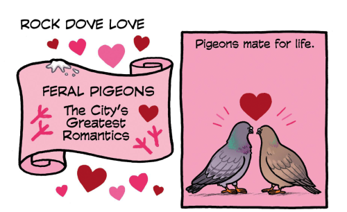 birdandmoon:This week at YourWildCity.com: some romance tips. Support us on PatreonWhen the phra