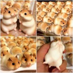 dangerbooze:  haveitjoeway:  themaddfeminist:  jen-jen-jen-jen:  soundssimpleright:  coolthingoftheday:  Adorable Japanese hamster bread.  (Source)  Are you fucking kidding me.  there’s no way in hell I could take a bite out of these  It has a butthole