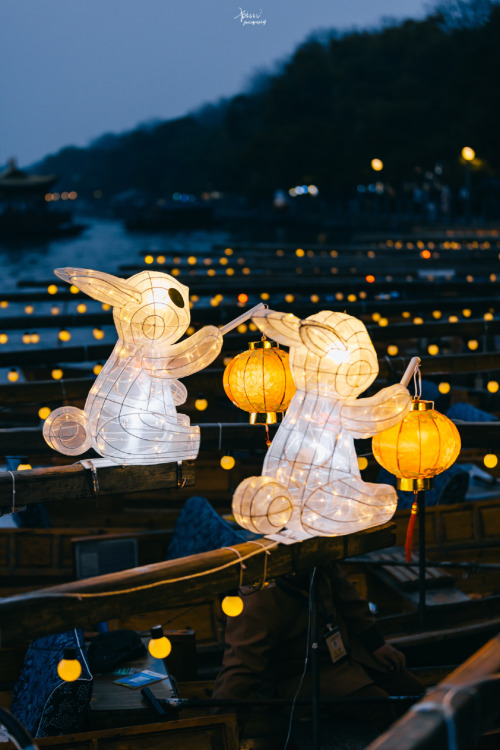 Rabbit Lantern For The Year Of Rabbit In West Lake, Hangzhou, Zhejiang Province By 卡斯LV