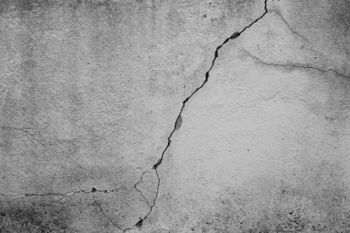 miss-bulldozer: Mine. my photos