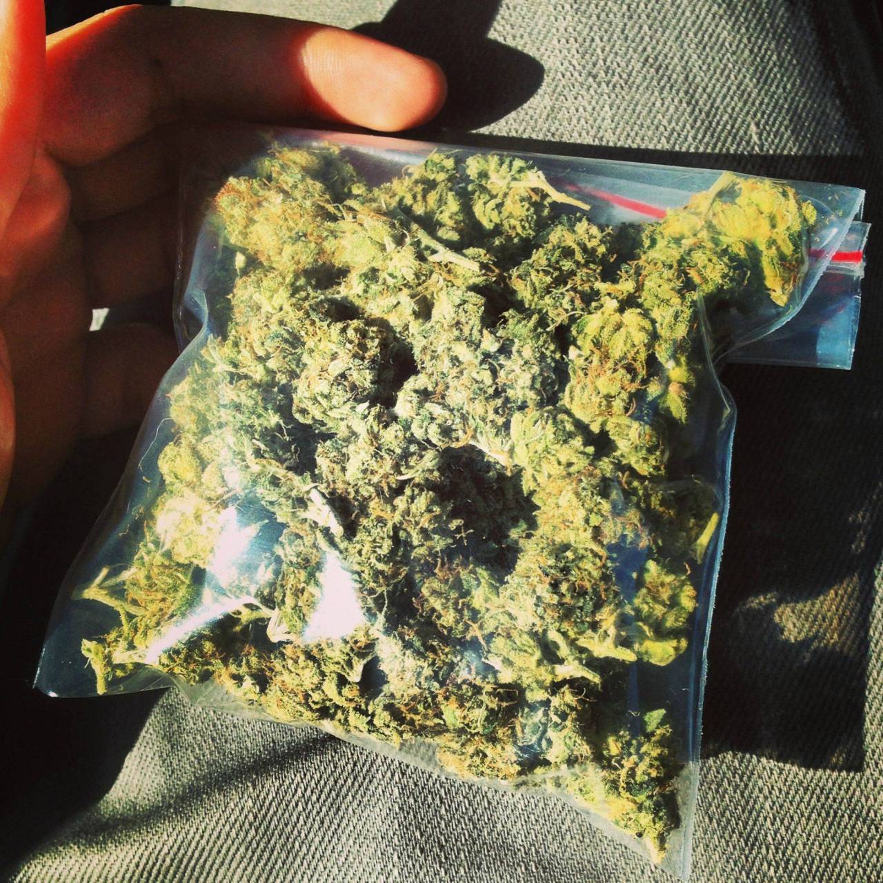 youknowyourestoned:  half an ounce of sour diesel. 