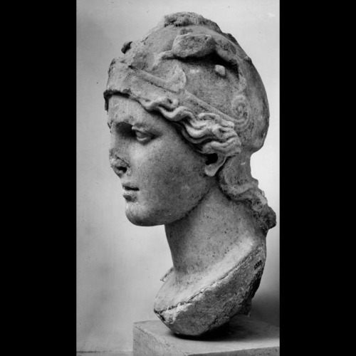 hismarmorealcalm:Head of Minerva-Athena  Found on the Foro della Statua Eroica  Museo Osti