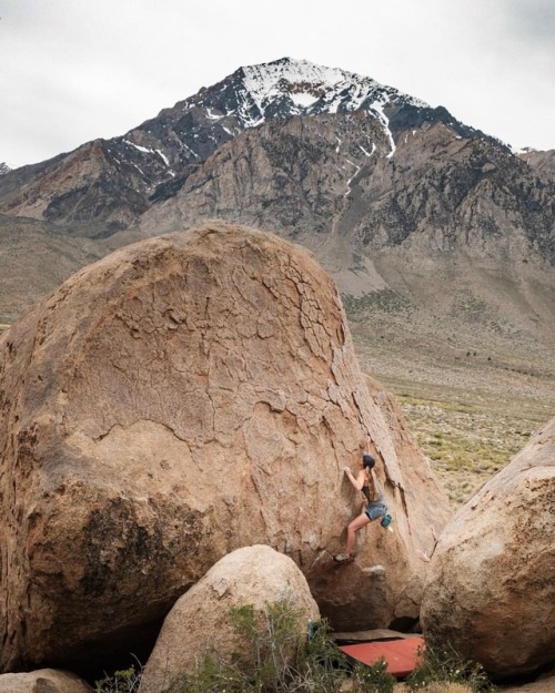 Daydreaming about summertime in #Bishop and #bouldering in cut offs ☀️• Image @benny_haddad• #gi