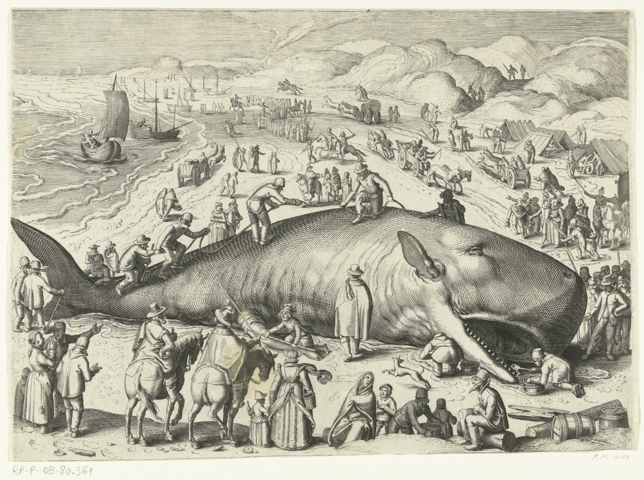 nevver:  Whale on the beach (larger)