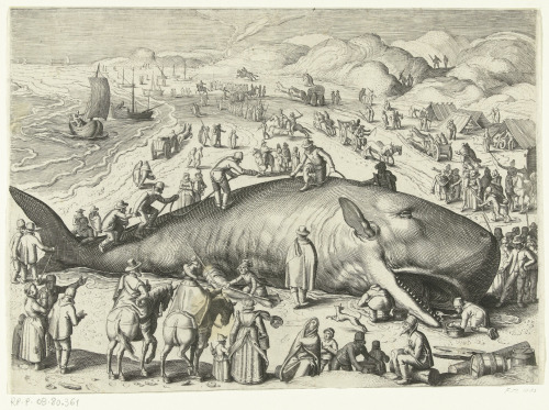 nevver:  Whale on the beach (larger)