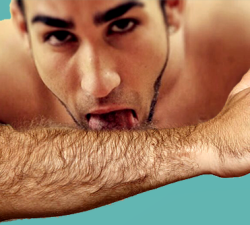 hairymenarms:  #hairyarms #hairyarm #armhairy