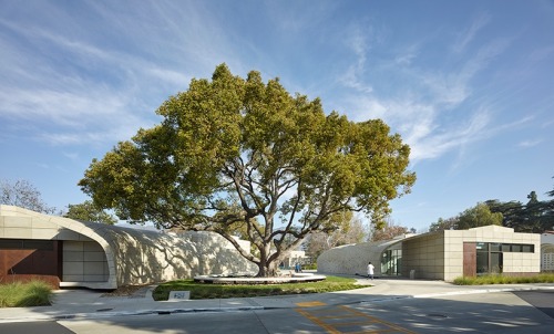 by belzberg architects, the ‘kaplan family pavilion’