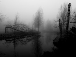 bernardcreely:  River Fog by Bernard Creely.